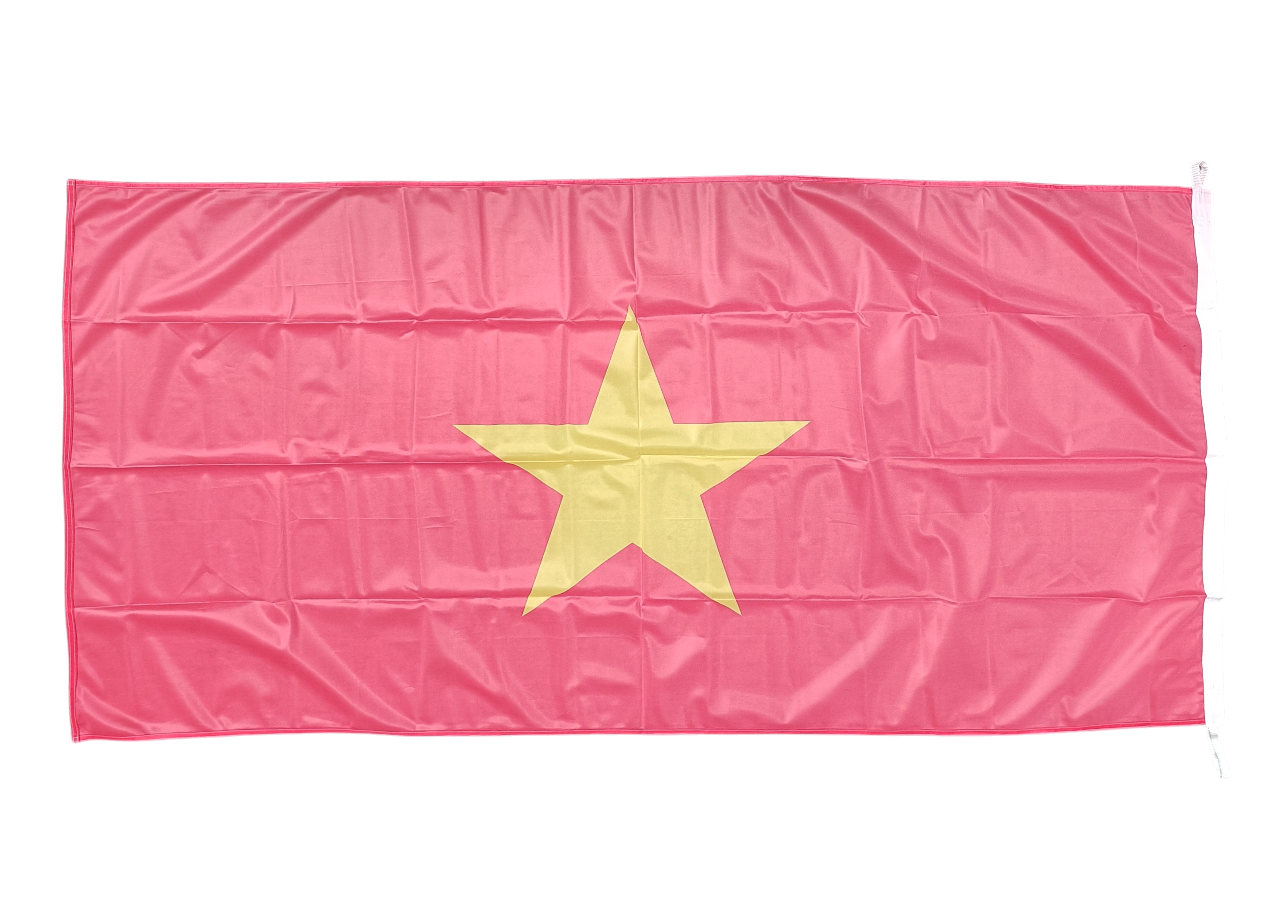 Vietnam Flag