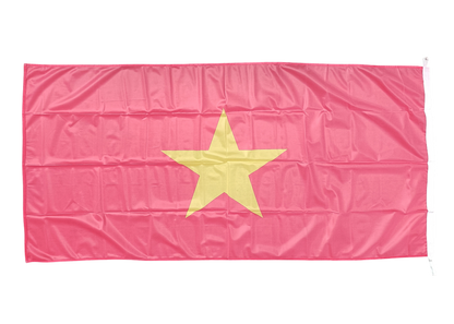 Vietnam Flag