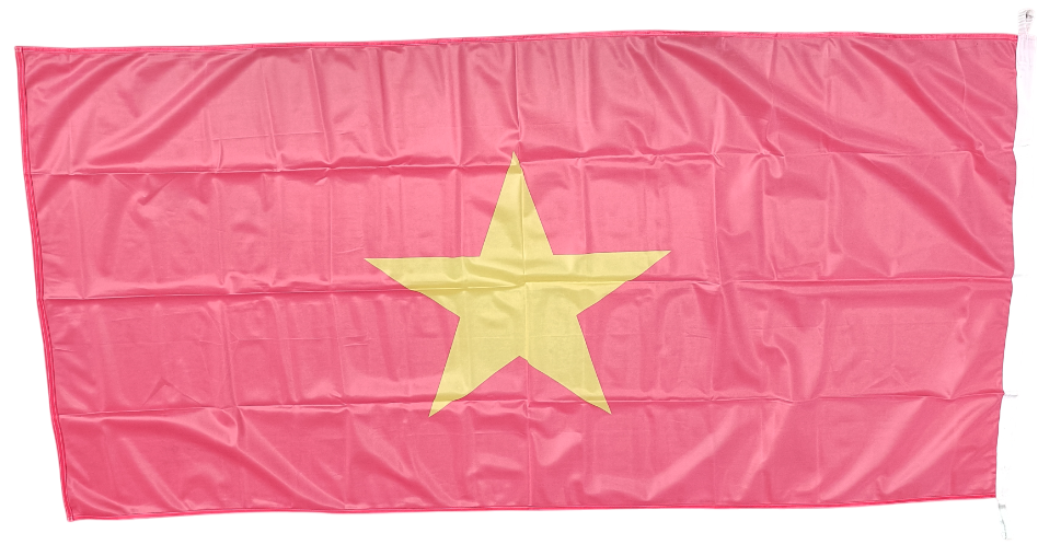 Vietnam Flag