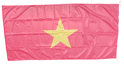 Vietnam Flag